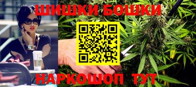ешки Новодвинск