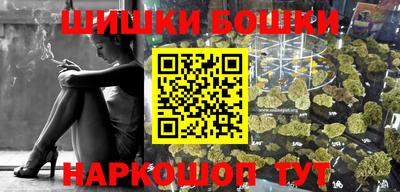 spice Новозыбков