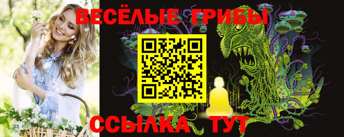 Галлюциногенные грибы ЛСД Губкинский